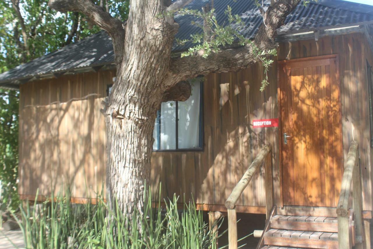 The Chiefs Guest House Moremi Game Reserve Exterior photo