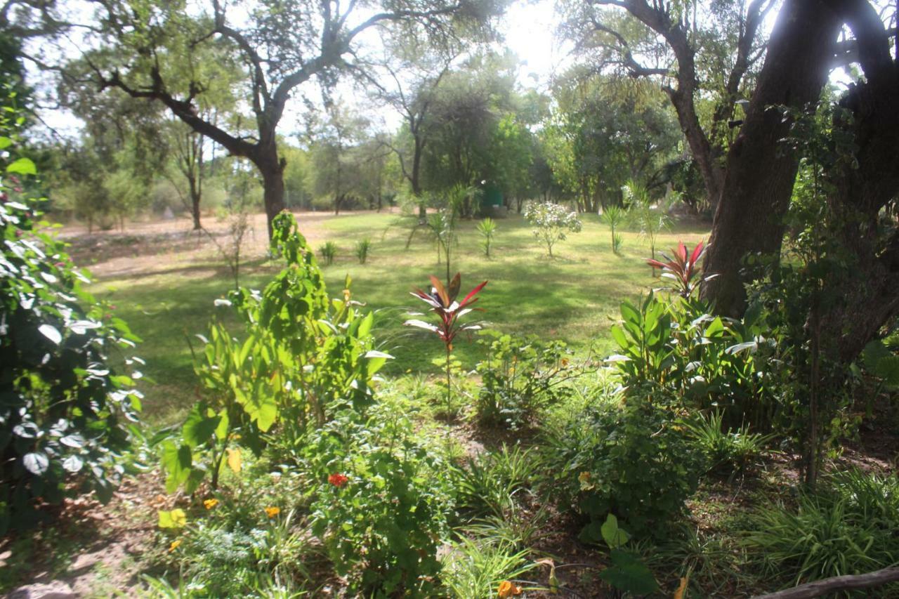 The Chiefs Guest House Moremi Game Reserve Exterior photo